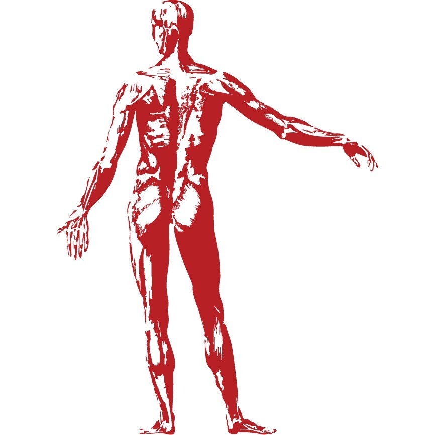 Homo sapiens - Sticker Decorativ - Rosu Cardinal - 83 x 112 cm