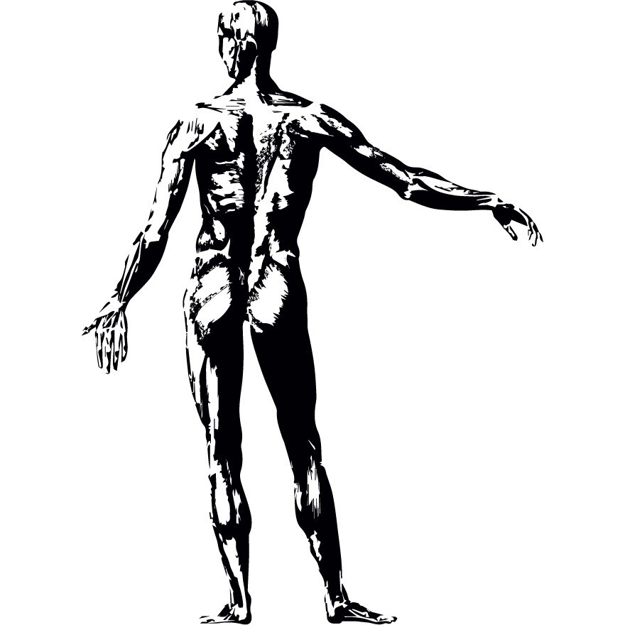 Homo sapiens - Sticker Decorativ - Negru - 83 x 112 cm