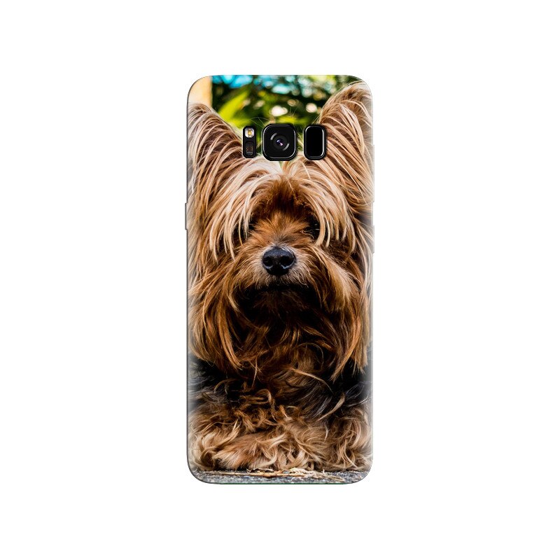 Husa Samsung S8 Yorkshire Pup