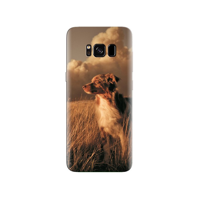 Husa Samsung S8 Alone Dog Animal In Grass