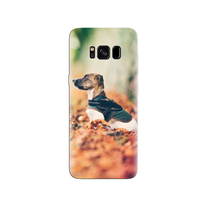 Husa Samsung S8 Dog Autumn Leaves