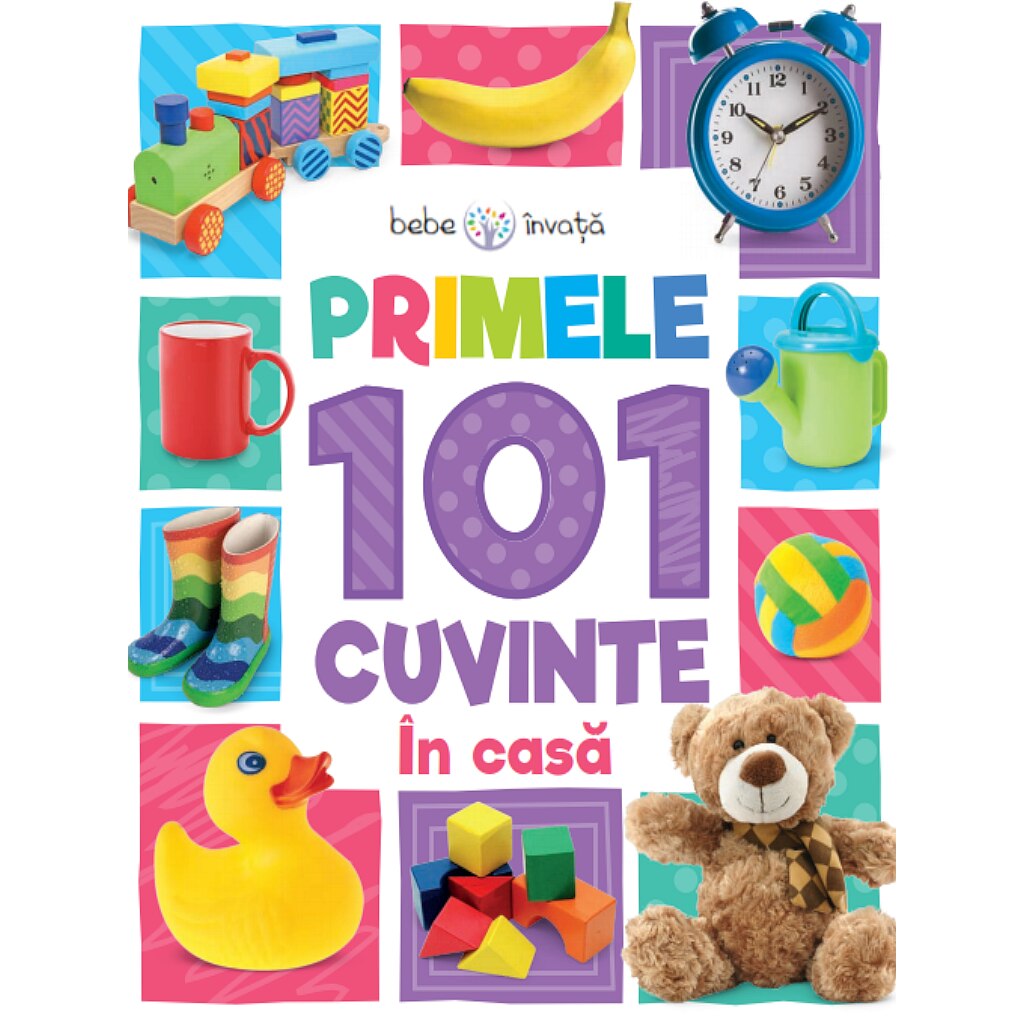 Bebe invata. Primele 101 cuvinte. Acasa