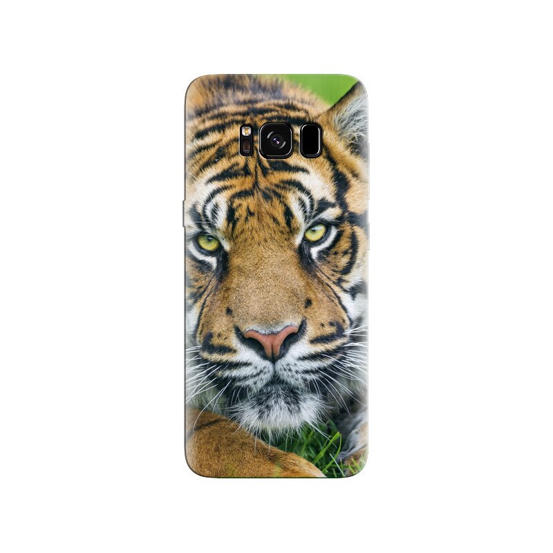 Husa Samsung S8 Plus Sumatran Tiger Face