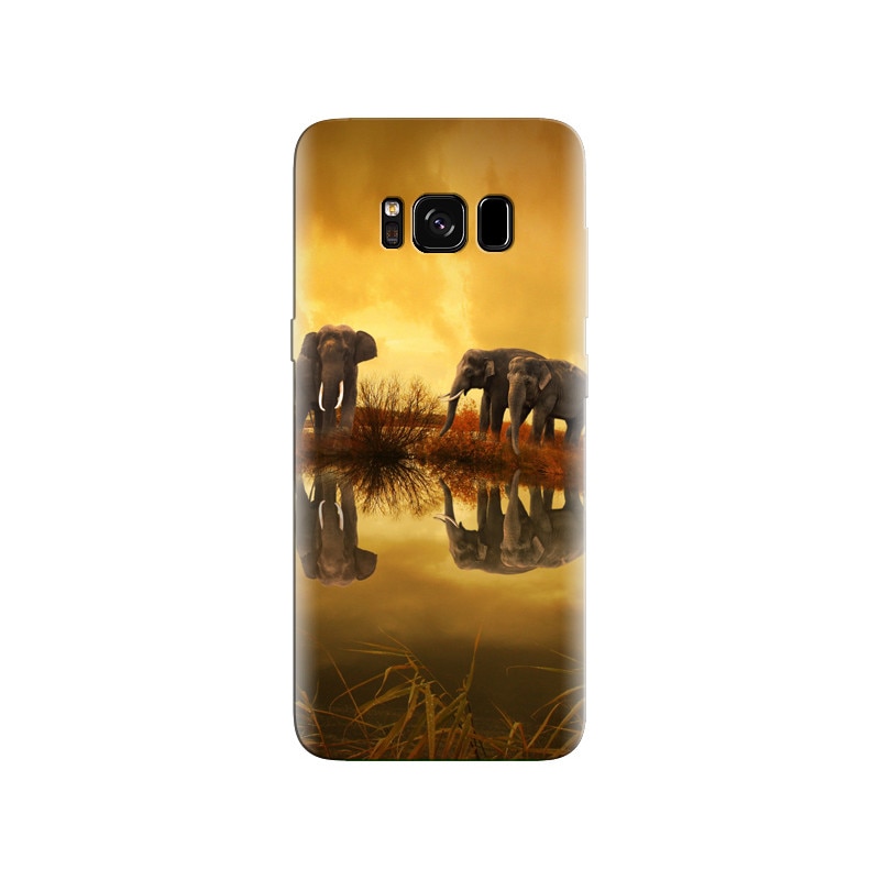 Husa Samsung S8 Thailand 1