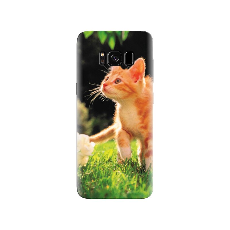 Husa Samsung S8 Cute Animal Cat Hq Photos