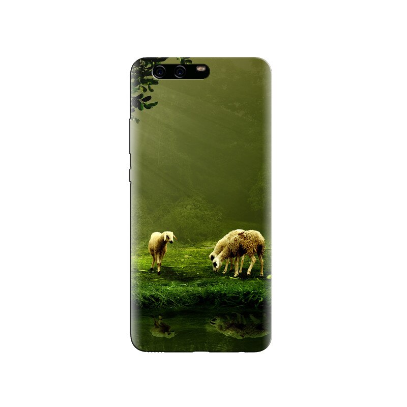 Husa Huawei P10 Shepard