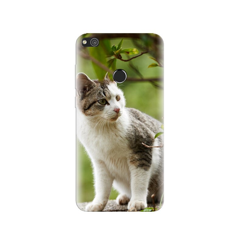 Husa Huawei P8 Lite 2017 Kitten Watching Branches