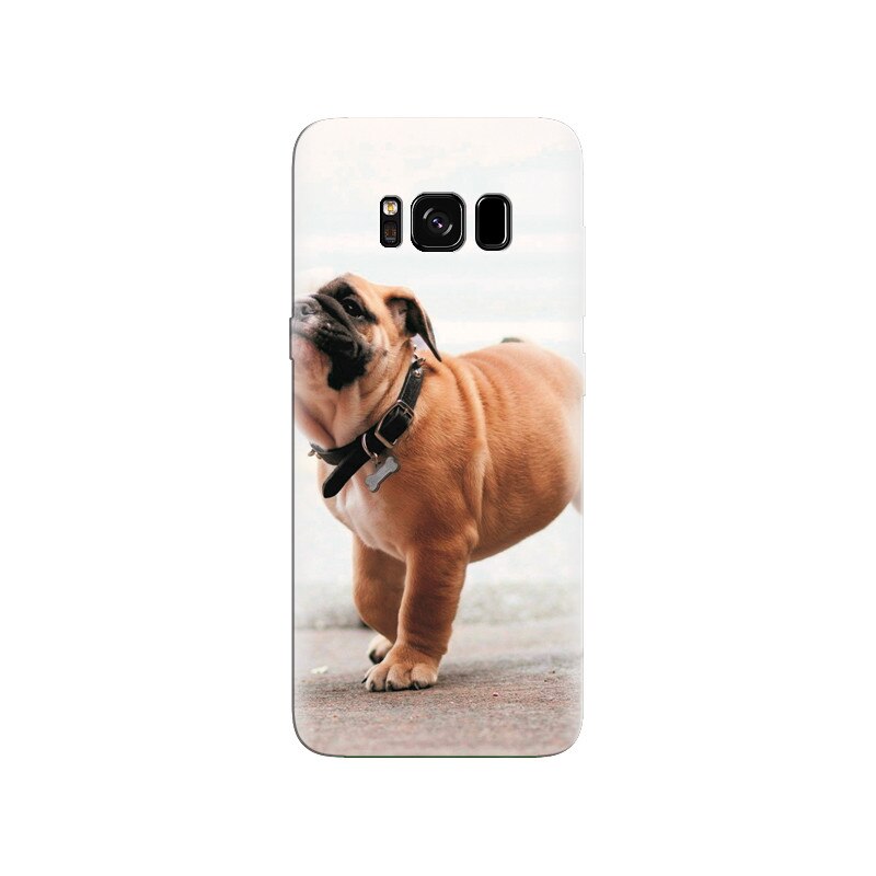 Husa Samsung S8 Little Dog Puppy Animal Gallery