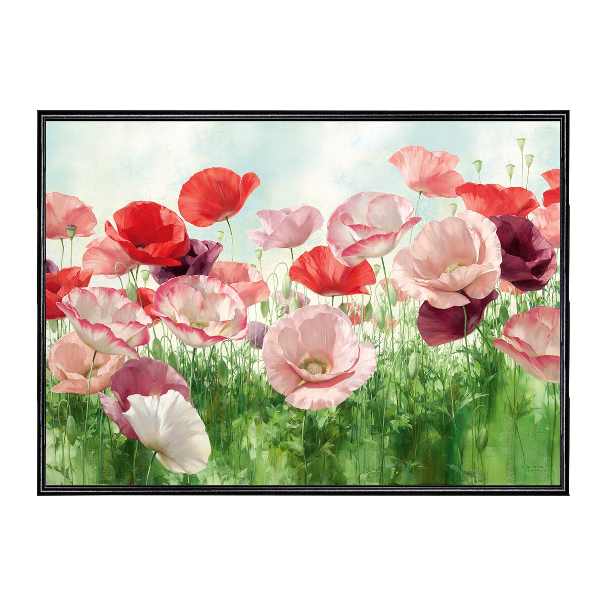 Tablou Canvas Inramat - Canbox - Flori, Camp de maci, Rama Neagra, 60 x 80 cm