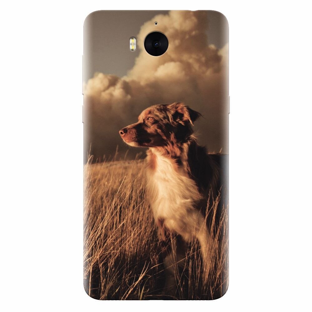 Husa silicon pentru Huawei Y6 2017, Alone Dog Animal In Grass