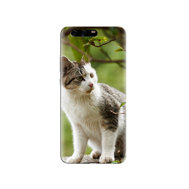 Husa Huawei P10 PLUS Kitten Watching Branches