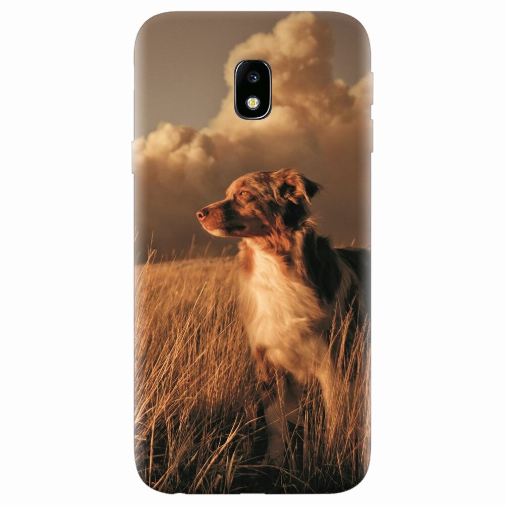 Husa silicon pentru Samsung Galaxy J7 2017, Alone Dog Animal In Grass