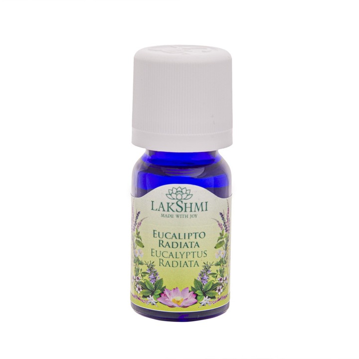 Ulei esential eucalipt radiata, Lakshmi, 10 ml, pentru afectiunile aparatului respirator