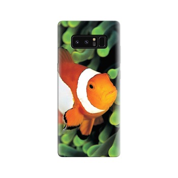 Husa Samsung Note 8 Colorful Anemones Fish Husa Samsung Note 8 Colorful Anemones Fish