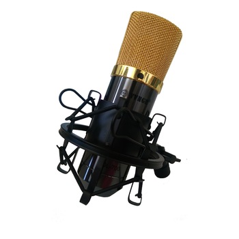 Microfon cu condensator Profesional de studio , cu fir si Alimentator Microfon cu condensator Profesional de studio , cu fir si Alimentator