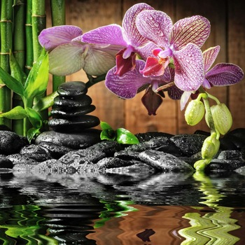 Fototapet PREMIUM vlies, lavabil, Orhidee cu pietre, 280x300 cm Fototapet PREMIUM vlies, lavabil, Orhidee cu pietre, 280x300 cm