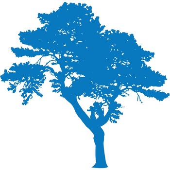 Copacul- Natura la dumneavoastra in casa - Sticker Decorativ - Albastru - 113 x 110 cm Copacul- Natura la dumneavoastra in casa - Sticker Decorativ - Albastru - 113 x 110 cm