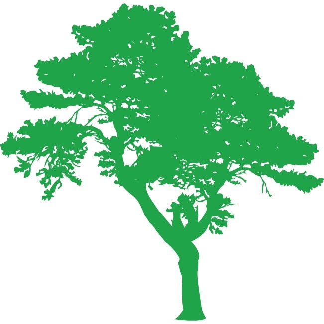 Copacul- Natura la dumneavoastra in casa - Sticker Decorativ - Verde - 113 x 110 cm