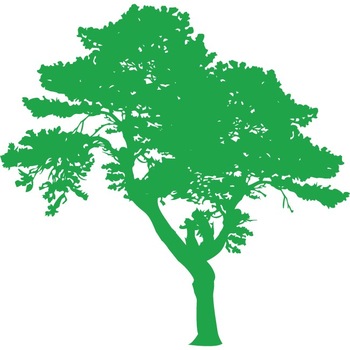 Copacul- Natura la dumneavoastra in casa - Sticker Decorativ - Verde - 113 x 110 cm Copacul- Natura la dumneavoastra in casa - Sticker Decorativ - Verde - 113 x 110 cm