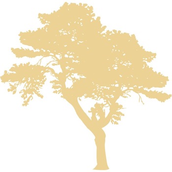 Copacul- Natura la dumneavoastra in casa - Sticker Decorativ - Bej - 113 x 110 cm Copacul- Natura la dumneavoastra in casa - Sticker Decorativ - Bej - 113 x 110 cm