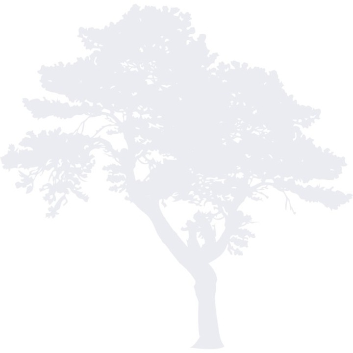 Copacul- Natura la dumneavoastra in casa - Sticker Decorativ - Alb polar - 85 x 83 cm