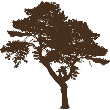 Copacul- Natura la dumneavoastra in casa - Sticker Decorativ - Choco - 113 x 110 cm Copacul- Natura la dumneavoastra in casa - Sticker Decorativ - Choco - 113 x 110 cm