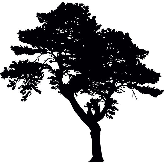 Copacul- Natura la dumneavoastra in casa - Sticker Decorativ - Negru - 113 x 110 cm