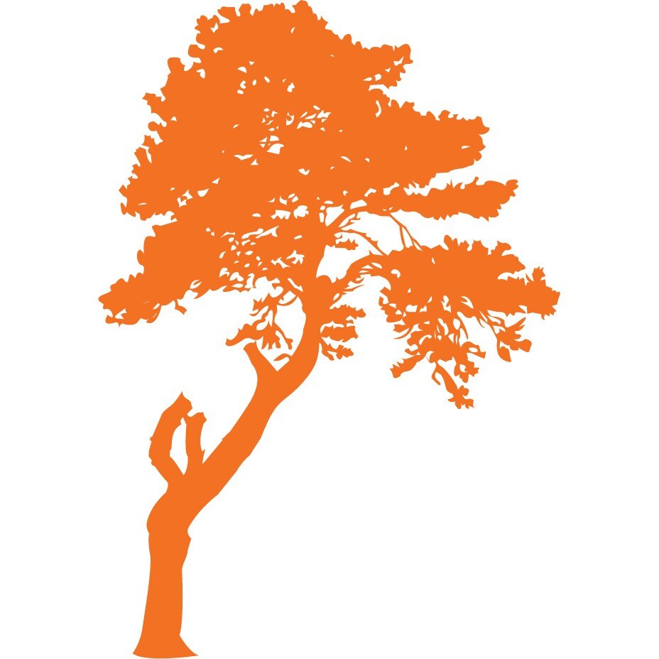 Arborele misterios - Sticker Decorativ - Portocaliu - 110 x 156 cm