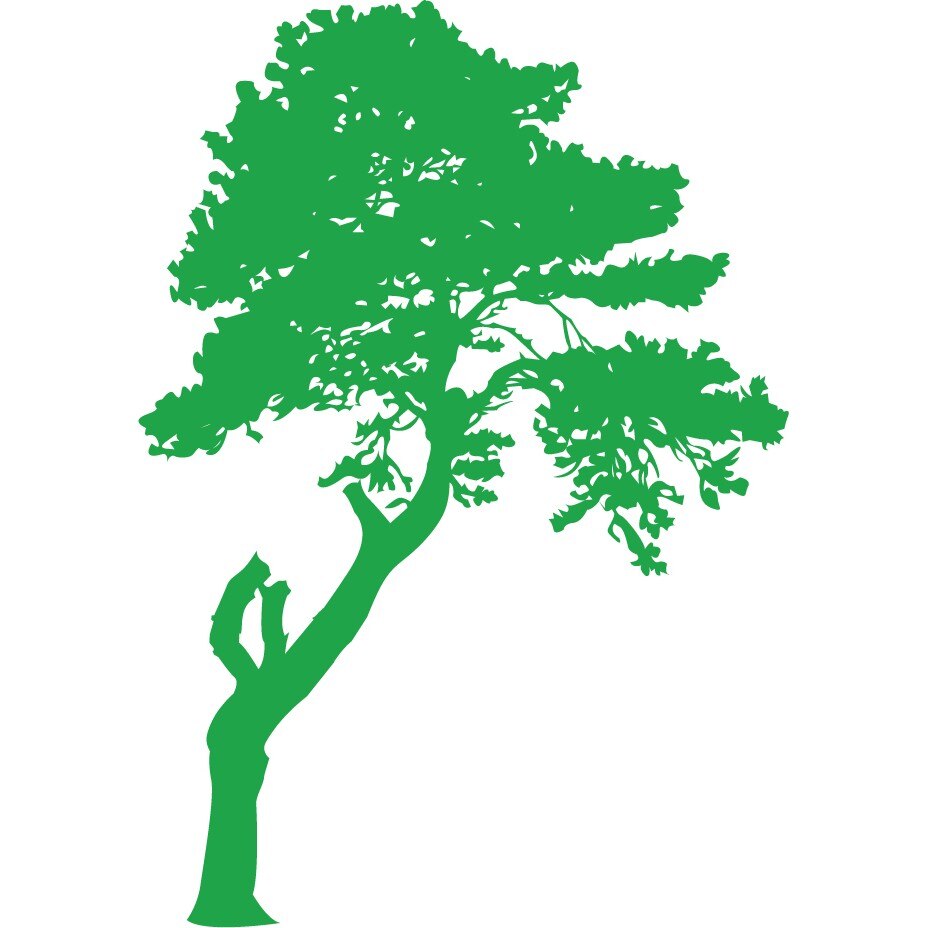 Arborele misterios - Sticker Decorativ - Verde - 110 x 156 cm