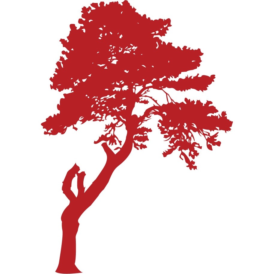 Arborele misterios - Sticker Decorativ - Rosu Cardinal - 110 x 156 cm