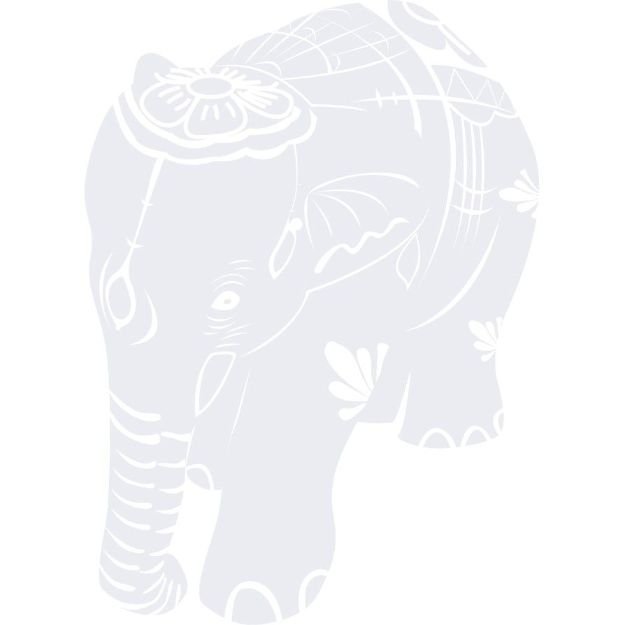 Elefant din India - Sticker Decorativ - Alb polar - 110 x 150 cm