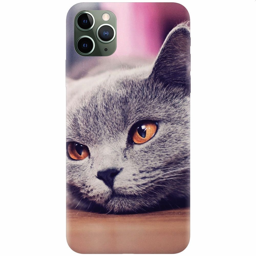 Husa silicon pentru Apple Iphone 11 Pro, British Shorthair Cat Yellow Eyes Portrait