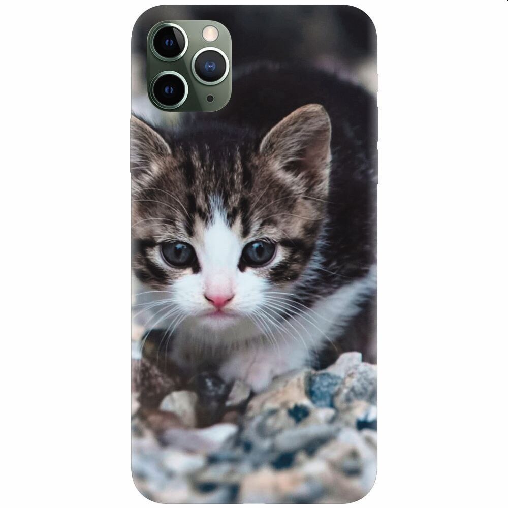 Husa silicon pentru Apple Iphone 11 Pro, Animal Cat