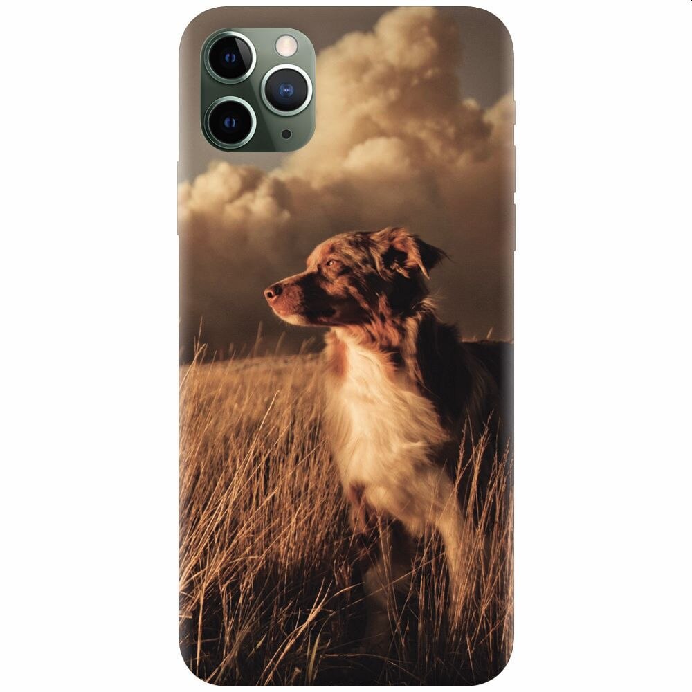 Husa silicon pentru Apple Iphone 11 Pro, Alone Dog Animal In Grass