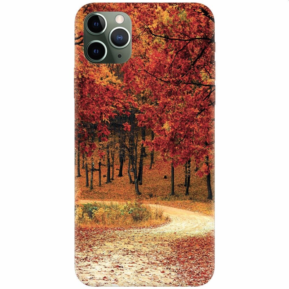 Husa silicon pentru Apple Iphone 11 Pro, Autumn