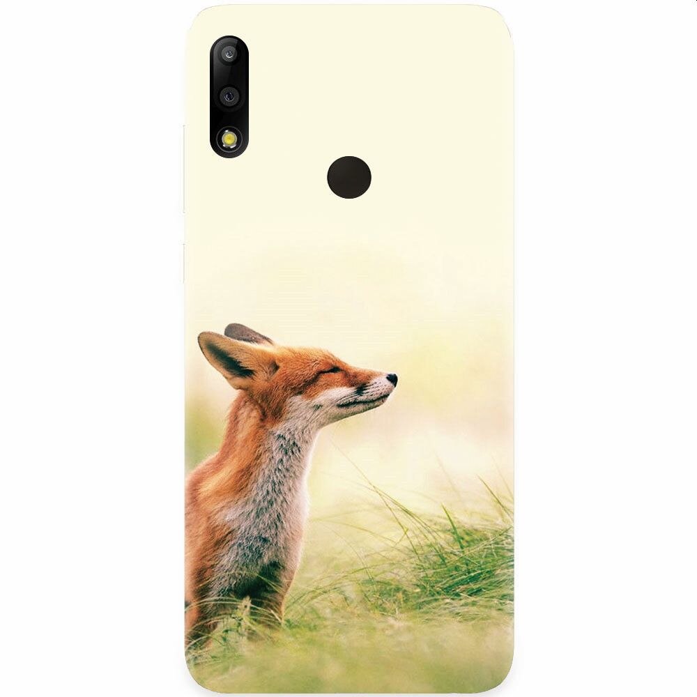 Husa silicon pentru Asus Zenfone Max Pro M2, Fox Scenting Breeze