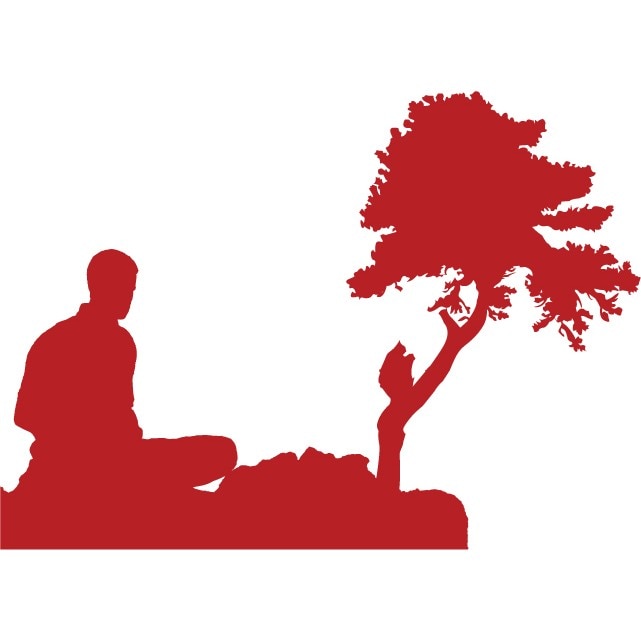 Gaseste-ti gandurile - Sticker Decorativ - Rosu Cardinal - 155 x 110 cm