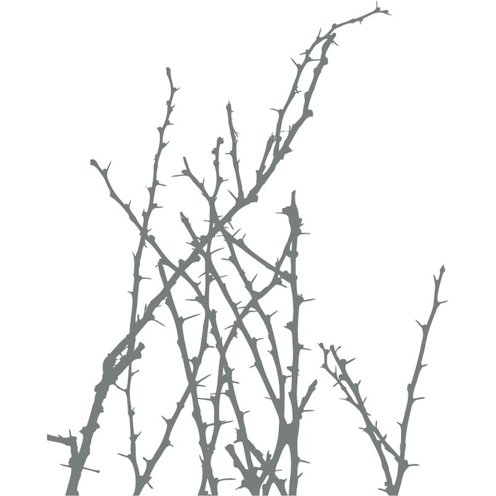 Tüskés növény - Falmatrica - Szűrke - 110x135 cm