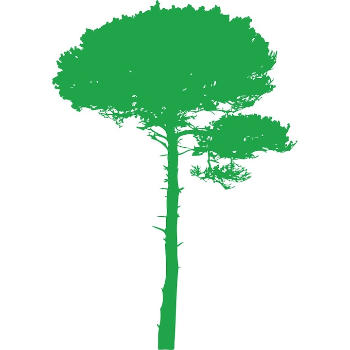 A nagy fa - Falmatrica - Zöld - 110x157 cm