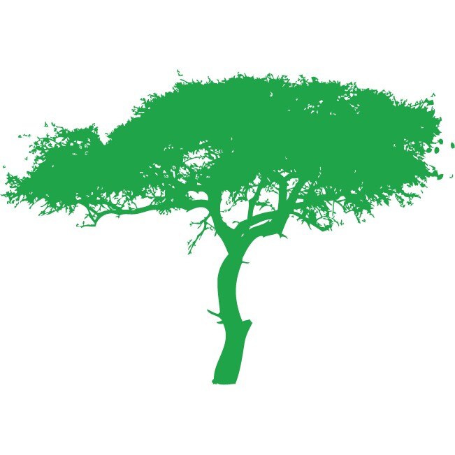Copacul puterii - Sticker Decorativ - Verde - 158 x 110 cm