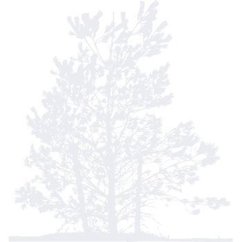 Copacul plin de viata - Sticker Decorativ - Alb polar - 83 x 90 cm Copacul plin de viata - Sticker Decorativ - Alb polar - 83 x 90 cm