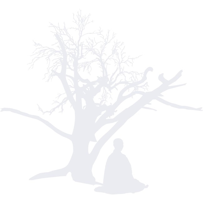 Meditatia - fii unul cu natura! - Sticker Decorativ - Alb polar - 120 x 110 cm