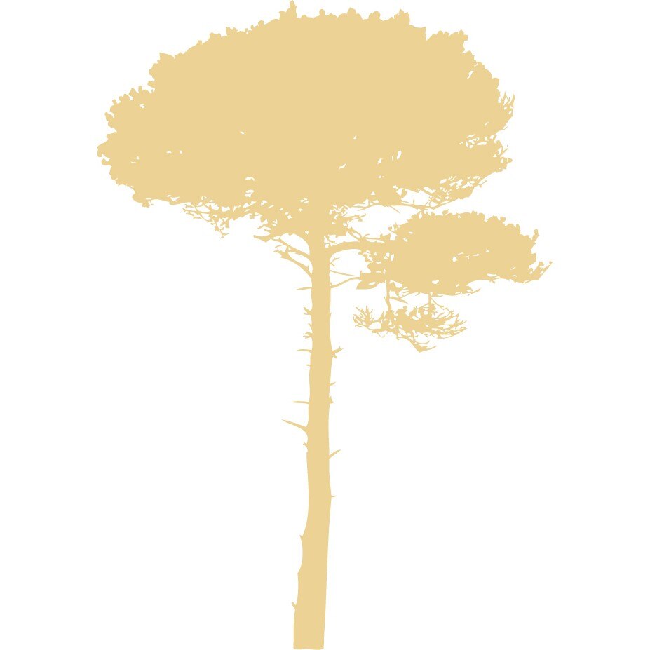 Marele Copac - Sticker Decorativ - Bej - 110 x 157 cm