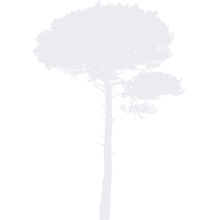 A nagy fa - Falmatrica - Hófehér - 97x139 cm