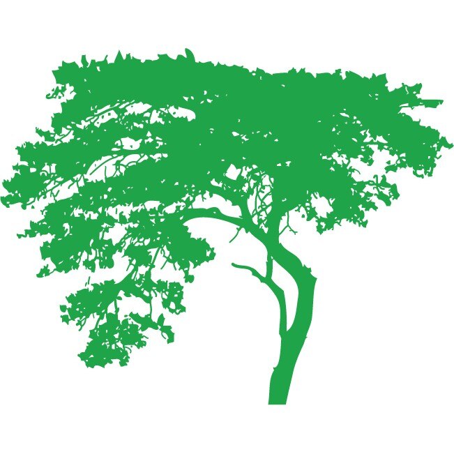 Copacul aplecat - Sticker Decorativ - Verde - 140 x 110 cm