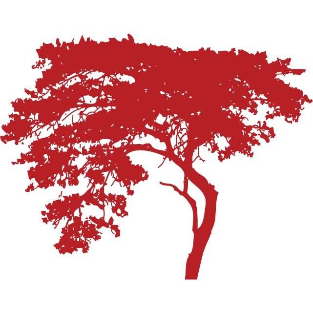 Copacul aplecat - Sticker Decorativ - Rosu Cardinal - 140 x 110 cm