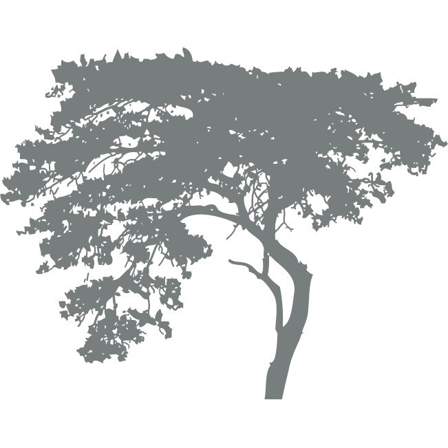 Copacul aplecat - Sticker Decorativ - Gri Metal - 140 x 110 cm