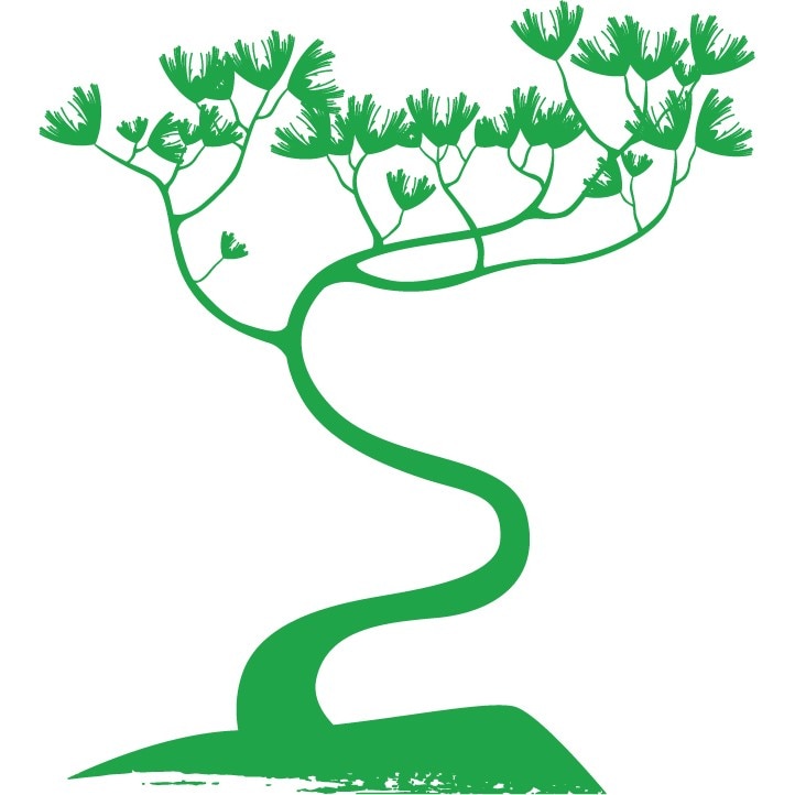 Copac Bonsai - Sticker Decorativ - Verde - 110 x 122 cm
