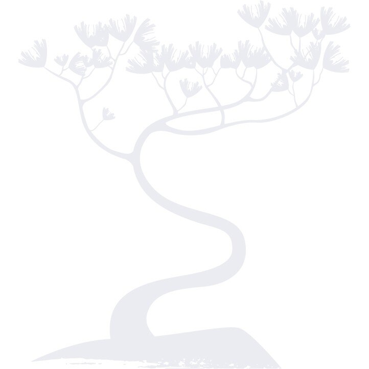 Copac Bonsai - Sticker Decorativ - Alb polar - 110 x 122 cm