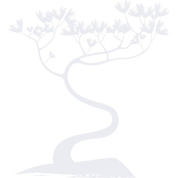 Copac Bonsai - Sticker Decorativ - Alb polar - 110 x 122 cm Copac Bonsai - Sticker Decorativ - Alb polar - 110 x 122 cm